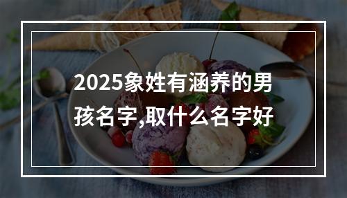 2025象姓有涵养的男孩名字,取什么名字好