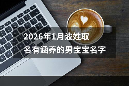 2026年1月波姓取名有涵养的男宝宝名字
