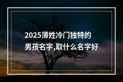 2025薄姓冷门独特的男孩名字,取什么名字好