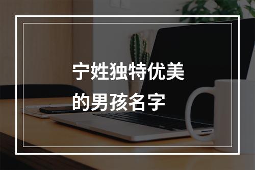 宁姓独特优美的男孩名字