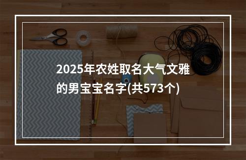 2025年农姓取名大气文雅的男宝宝名字(共573个)