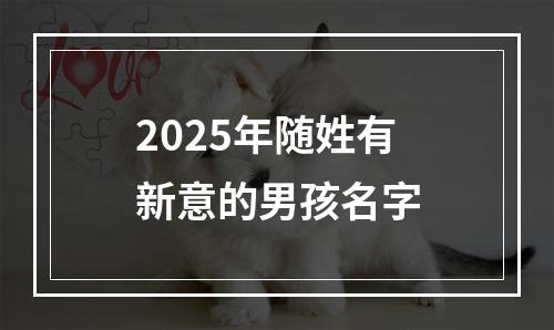 2025年随姓有新意的男孩名字