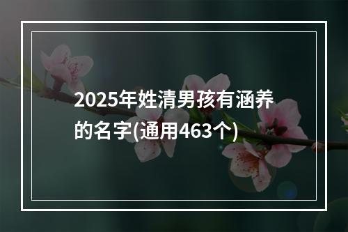 2025年姓清男孩有涵养的名字(通用463个)