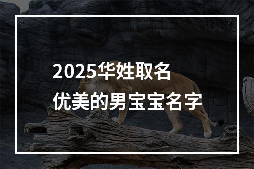 2025华姓取名优美的男宝宝名字