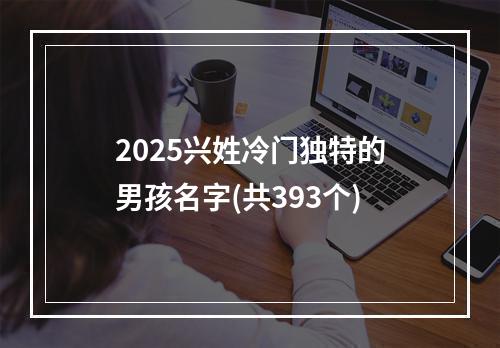2025兴姓冷门独特的男孩名字(共393个)
