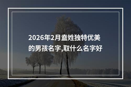 2026年2月盍姓独特优美的男孩名字,取什么名字好