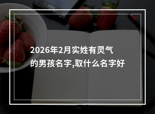 2026年2月实姓有灵气的男孩名字,取什么名字好