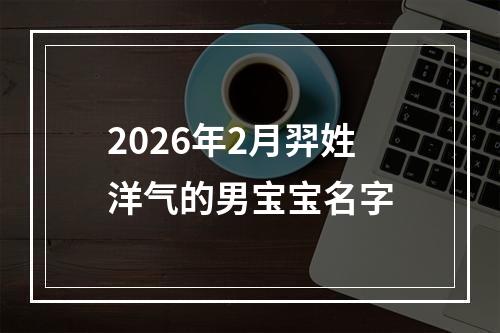 2026年2月羿姓洋气的男宝宝名字