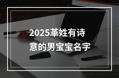 2025革姓有诗意的男宝宝名字