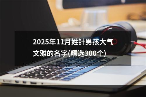 2025年11月姓针男孩大气文雅的名字(精选300个)
