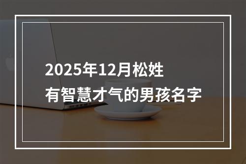 2025年12月松姓有智慧才气的男孩名字