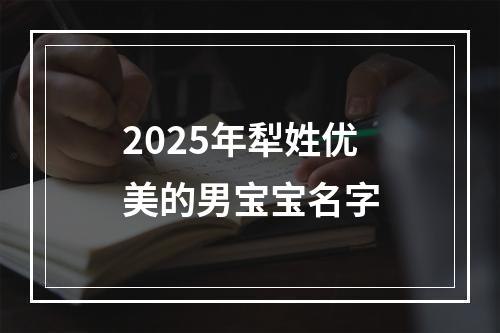 2025年犁姓优美的男宝宝名字