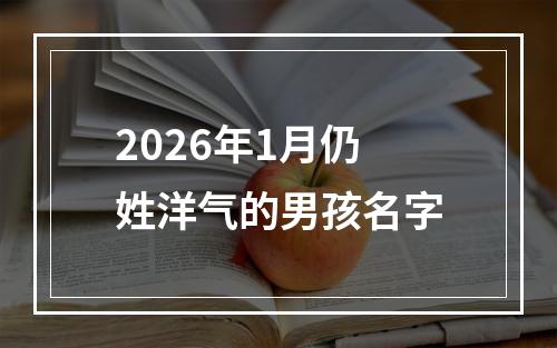 2026年1月仍姓洋气的男孩名字