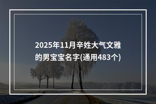 2025年11月辛姓大气文雅的男宝宝名字(通用483个)