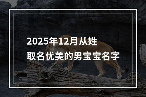 2025年12月从姓取名优美的男宝宝名字
