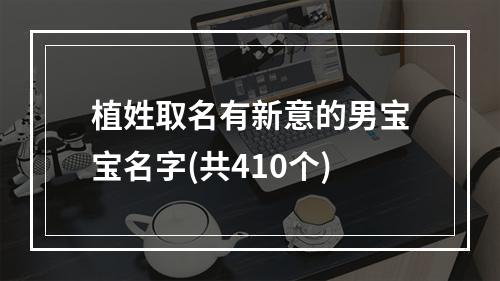 植姓取名有新意的男宝宝名字(共410个)