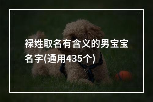 禄姓取名有含义的男宝宝名字(通用435个)