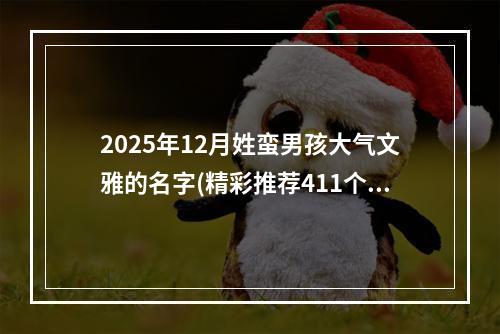 2025年12月姓蛮男孩大气文雅的名字(精彩推荐411个)