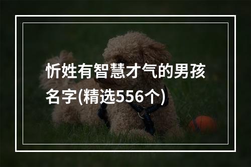 忻姓有智慧才气的男孩名字(精选556个)