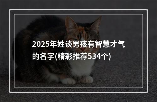 2025年姓谈男孩有智慧才气的名字(精彩推荐534个)