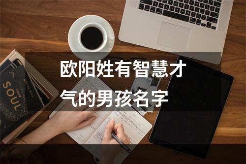 欧阳姓有智慧才气的男孩名字