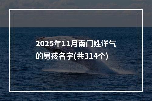 2025年11月南门姓洋气的男孩名字(共314个)