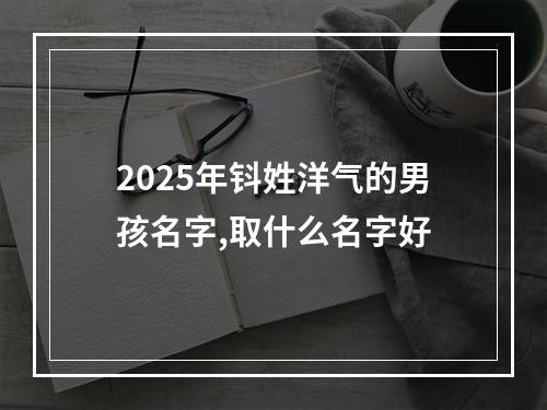 2025年钭姓洋气的男孩名字,取什么名字好