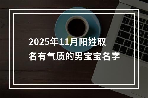 2025年11月阳姓取名有气质的男宝宝名字