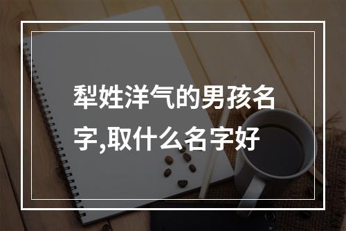 犁姓洋气的男孩名字,取什么名字好