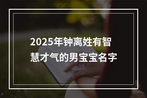 2025年钟离姓有智慧才气的男宝宝名字