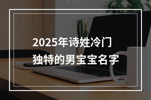 2025年诗姓冷门独特的男宝宝名字