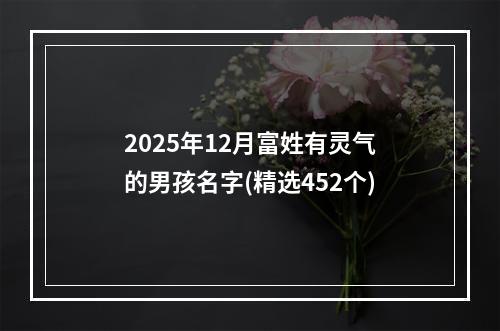 2025年12月富姓有灵气的男孩名字(精选452个)