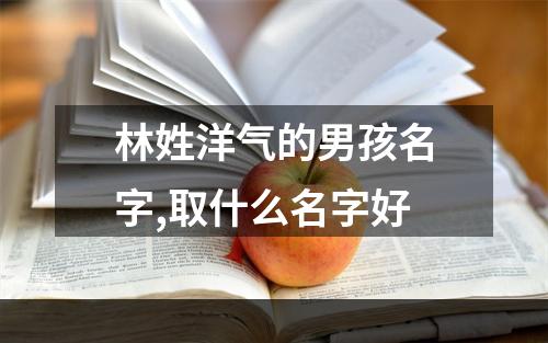 林姓洋气的男孩名字,取什么名字好