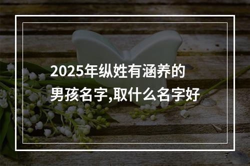 2025年纵姓有涵养的男孩名字,取什么名字好