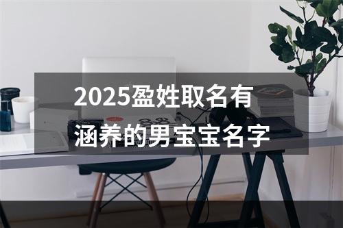 2025盈姓取名有涵养的男宝宝名字