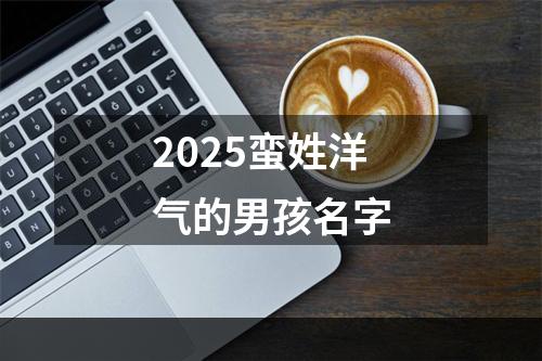 2025蛮姓洋气的男孩名字
