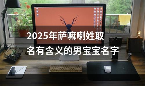 2025年萨嘛喇姓取名有含义的男宝宝名字