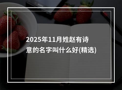 2025年11月姓赵有诗意的名字叫什么好(精选)