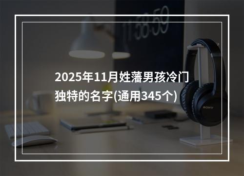 2025年11月姓藩男孩冷门独特的名字(通用345个)