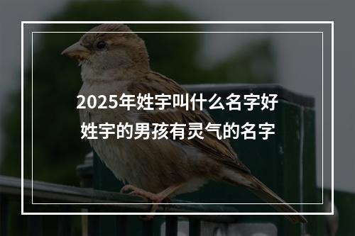 2025年姓宇叫什么名字好 姓宇的男孩有灵气的名字