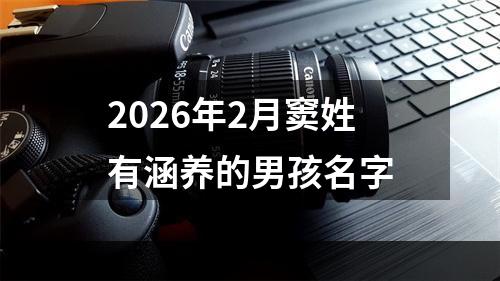 2026年2月窦姓有涵养的男孩名字