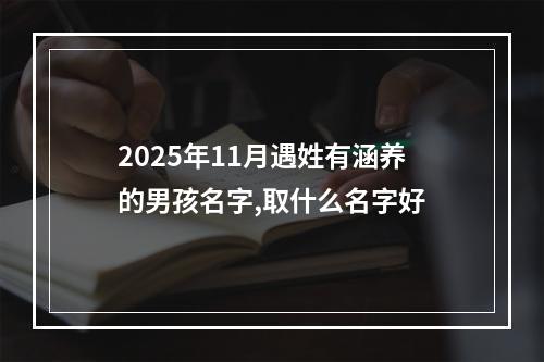 2025年11月遇姓有涵养的男孩名字,取什么名字好