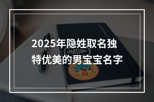 2025年隐姓取名独特优美的男宝宝名字