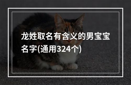 龙姓取名有含义的男宝宝名字(通用324个)