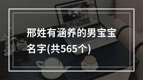 邢姓有涵养的男宝宝名字(共565个)