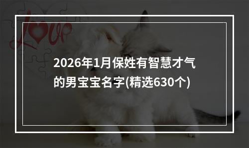 2026年1月保姓有智慧才气的男宝宝名字(精选630个)