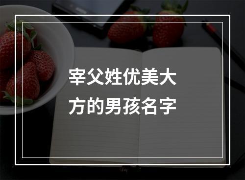 宰父姓优美大方的男孩名字