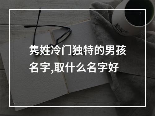 隽姓冷门独特的男孩名字,取什么名字好