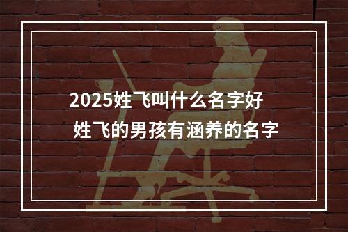 2025姓飞叫什么名字好 姓飞的男孩有涵养的名字