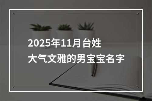 2025年11月台姓大气文雅的男宝宝名字